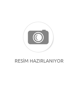 Leke Temizleme Tabancası Sarı Piston / YH-120-13