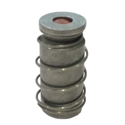 Ütü Solenoid Valf Çekirdeği Ve Yayı görseli 2